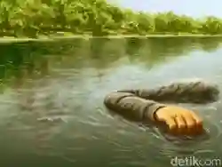Pria di Bogor Meninggal Tenggelam Setelah Berusaha Sembunyi dari Kejaran Tawon Hutan